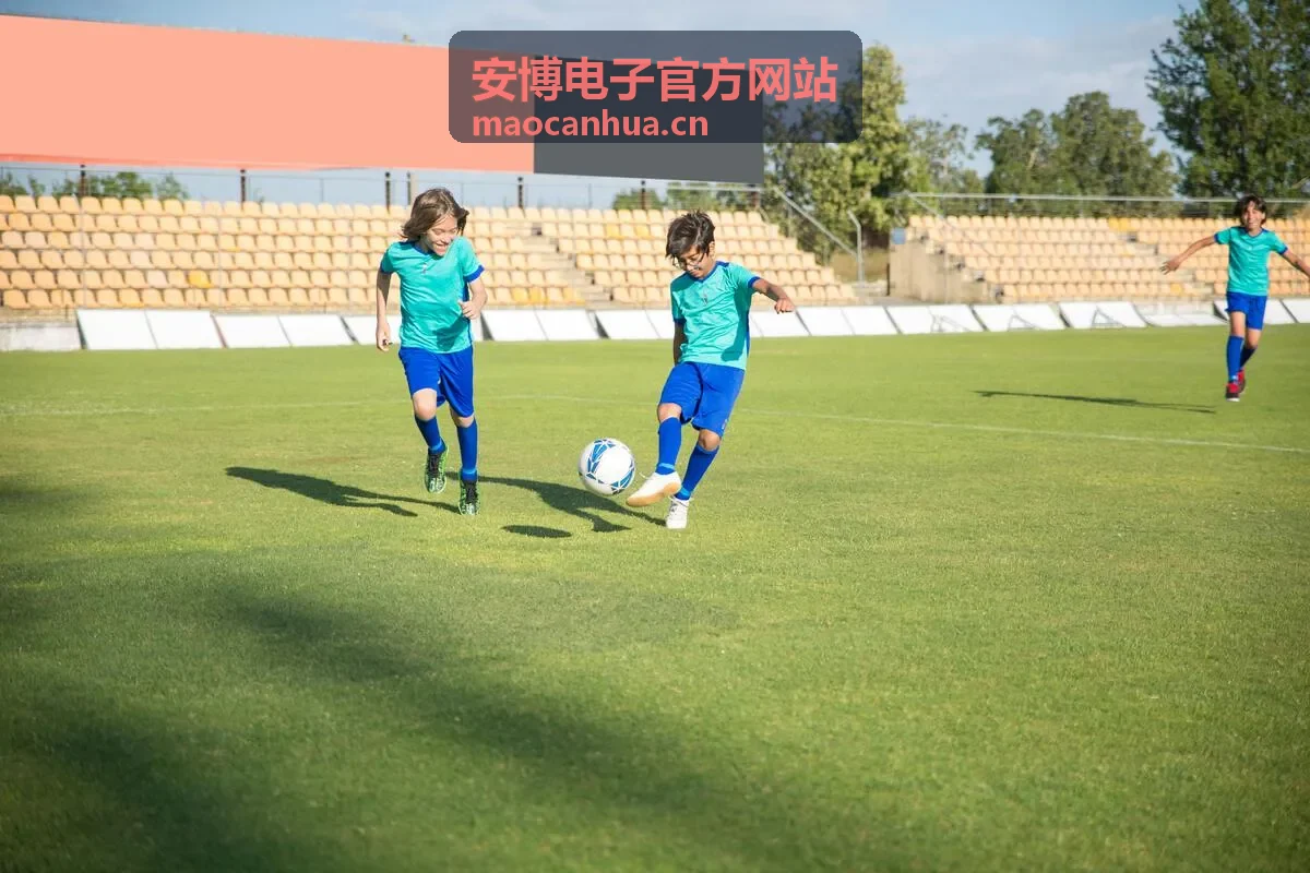 安博电子官方网站客户端安装与首次配置指南封面